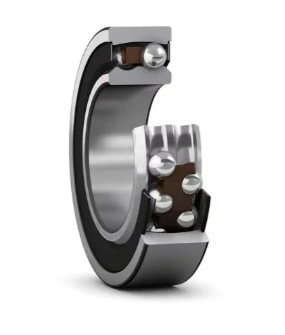 2204 E-2RS1TN9 SKF